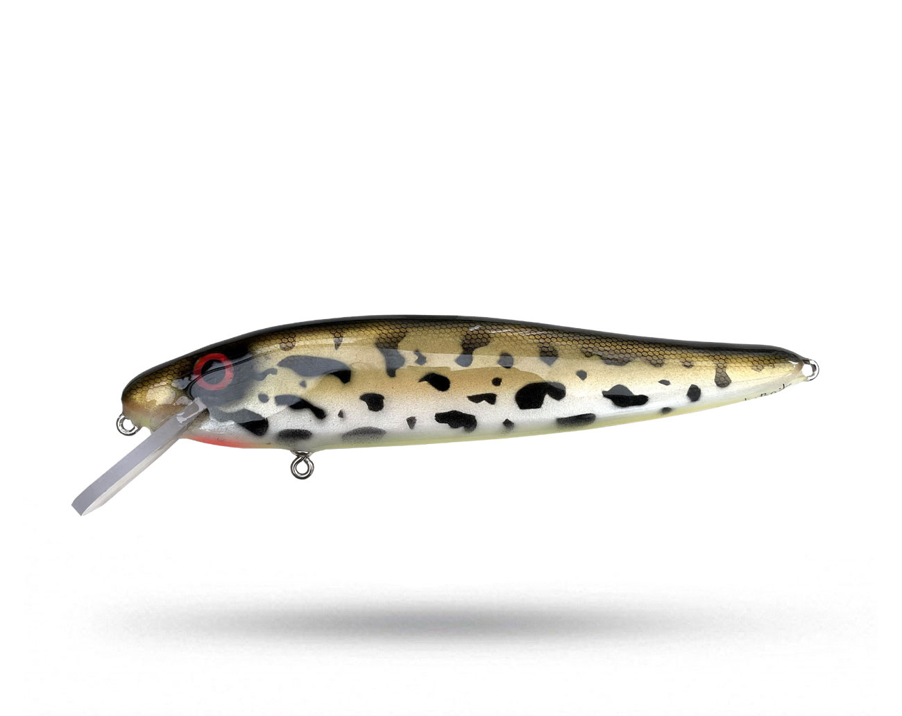 Gnarly Baits Twitch 25 cm - Kiwi Prey